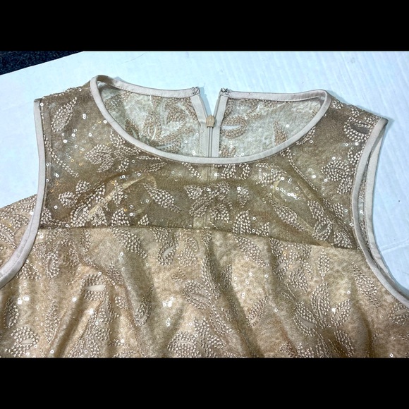 Lauren Ralph Lauren Embroidered Sequins Sleeveless Champagne MaXi Dress NWT 12 - Picture 11 of 15